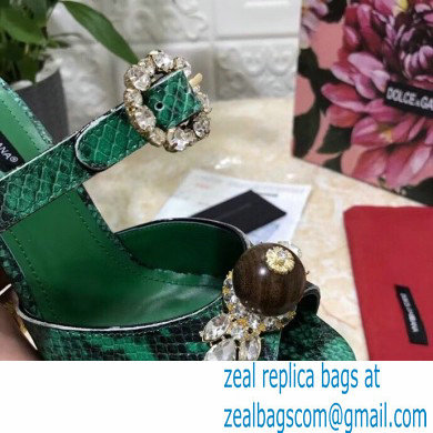 Dolce  &  Gabbana Crystal Heel 10.5cm Python Mules Green 2021